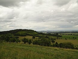 Vue sur la colline du Galgenberg ou Grand-Bastberg.