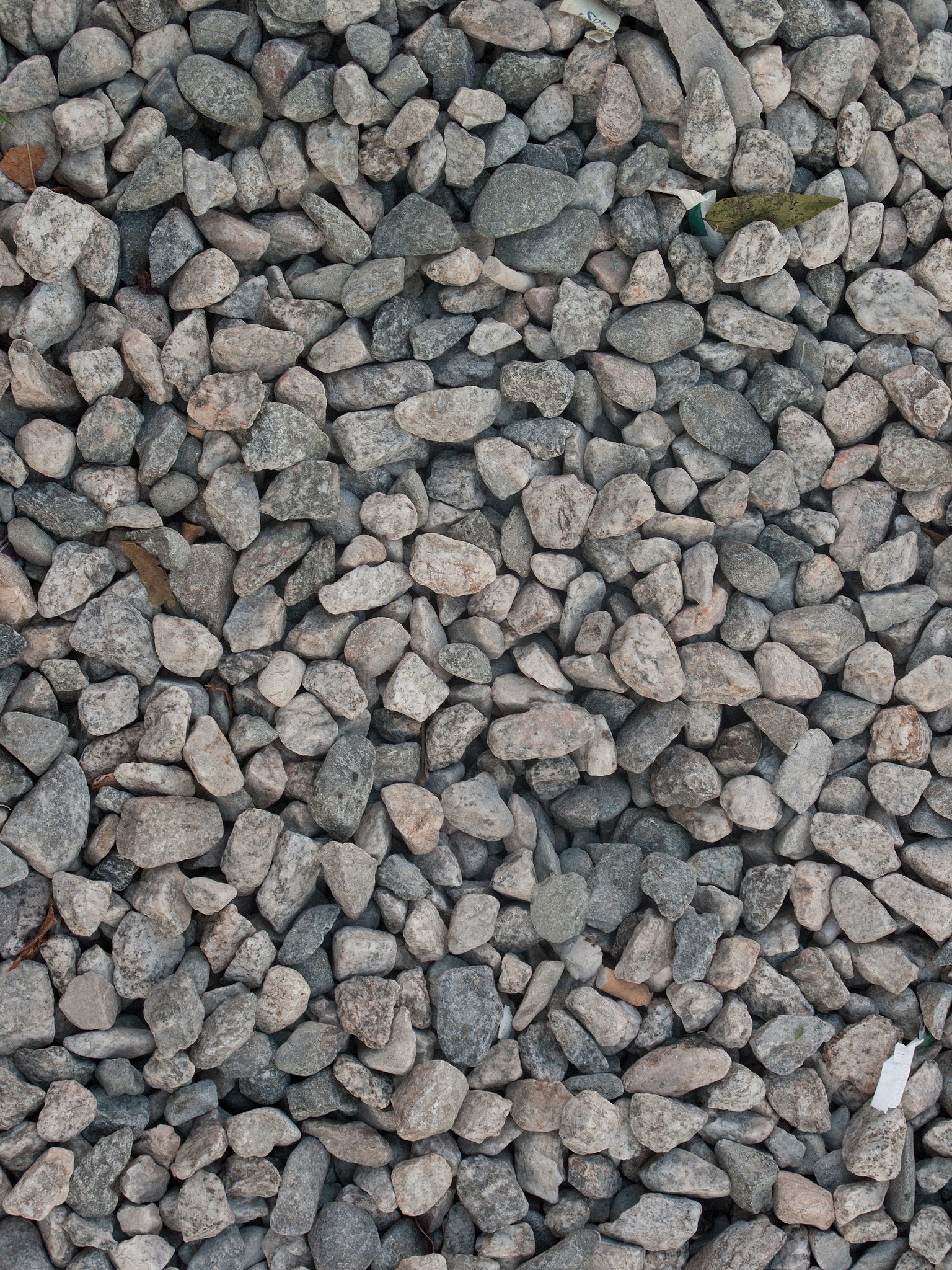 File:Granite pieces.jpg - Wikimedia Commons
