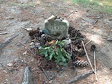 Grave of Thoreau at Sleepy Hollow Cemetery in Concord