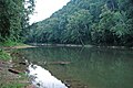 Green River (Mammoth Cave National Park, Kentucky, USA) 3 (19866850155).jpg