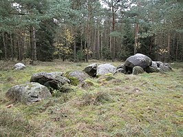 Großsteingrab auf dem Radberg