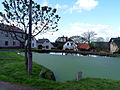 Čeština: Návesní rybník ve vsi Hřiště, okres Havlíčkův Brod, kraj Vysočina. English: Village pond in the village of Hřiště, Havlíčkův Brod District, Vysočina Region, Czech Republic.