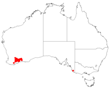 Hakea horridaDistMap61.png