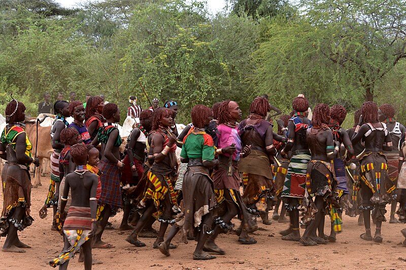 File:Hamer women at a bull jumping ceremony (3) (29186971226).jpg