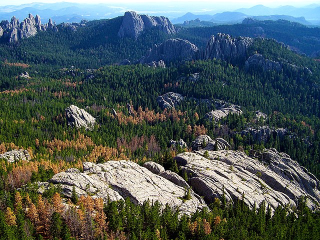 The Black Hills, a low mountain range, is located in Southwestern South Dakota.