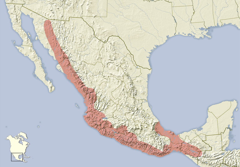 File:Heteromys pictus distribution map.png