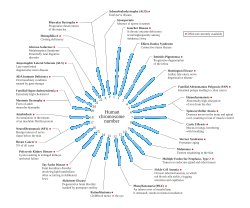 Human chromosome diseases set en.svg