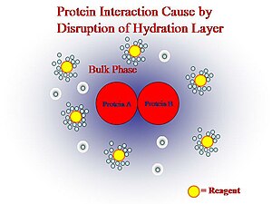 HydrationLayer2New.jpg