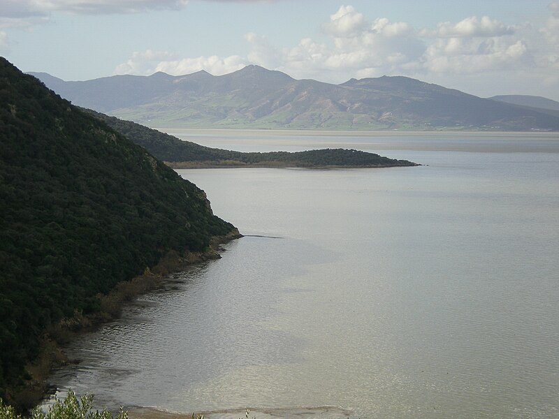 File:Ichkeul Lake near Bizerte (2008).jpg