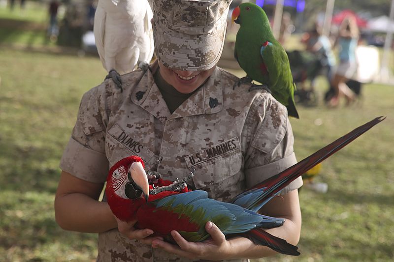 File:Inaugural Front Porch held at MCBH 150415-M-SB674-776.jpg