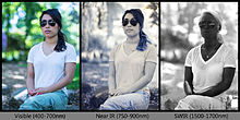 Reflected light photograph in various infrared spectra to illustrate the appearance as the wavelength of light changes. Infrared portrait comparison.jpg