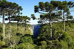 Itaimbezinho - Parco Nazionale Aparados da Serra 33.JPG