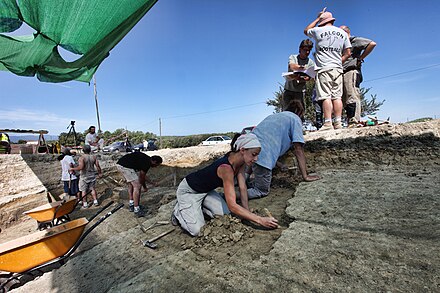 Jaciment paleontològic del Camp dels Ninots