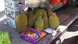 Jackfruit at a fruit stand in Manhattan's Chinatown