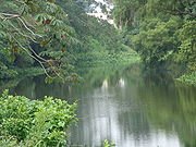 JamapaRiver-Near CasaBlancaTown VeracruzMexico