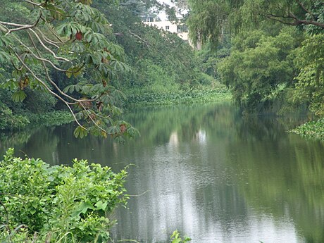 Jamapa River