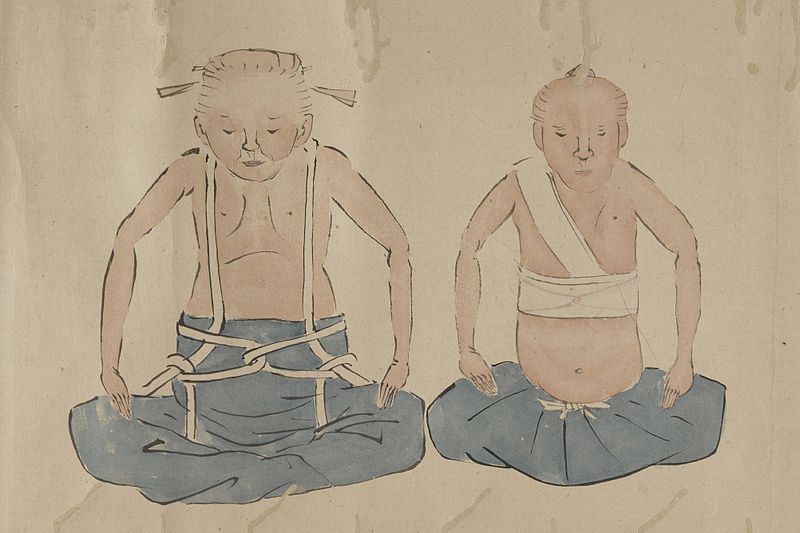 File:Japanese Scroll, bandages and bandaging techniques Wellcome L0034607.jpg