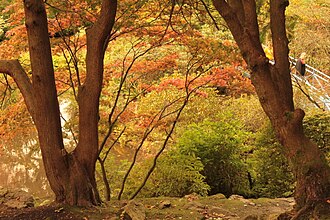 Johnston Gardens in autumn Johnston Gardens in autumn.jpg