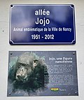 Vignette pour Jojo (chimpanzé)