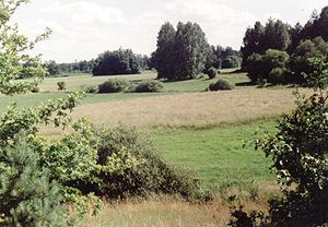 Ravas apriņķa ainava (pie Lonku ciema Julianovraducki gminā)