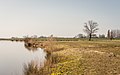 * Nomination Kamperveen, view over the floodplains of the IJssel. --Agnes Monkelbaan 04:24, 19 July 2022 (UTC) * Promotion  Support Good quality. May be a little bit too warm. --XRay 04:25, 19 July 2022 (UTC)