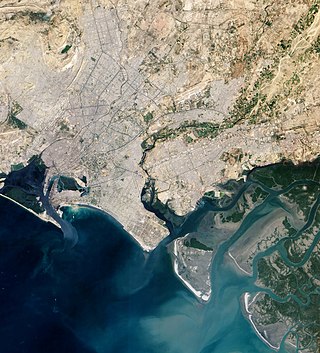 <span class="mw-page-title-main">Indus River Delta–Arabian Sea mangroves</span> Large mangrove ecoregion on the Arabian Sea coast of Pakistan and India