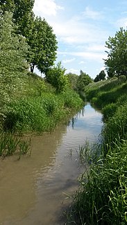 Die Kleine Tulln im Ortsgebiet von Tulln