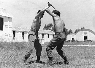 <span class="mw-page-title-main">Krav Maga</span> Israeli martial art