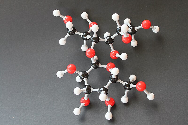 File:Lactitol Molekülbaukasten 9619.JPG