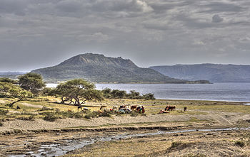 Abijatta Shalla National Park