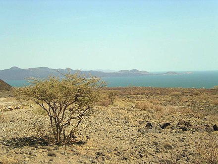 View over Lake Turkana