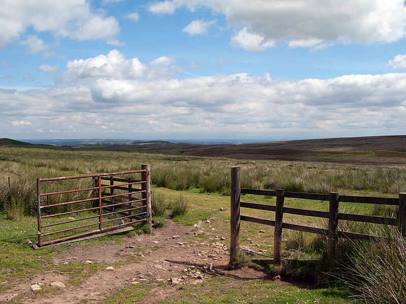 File:Langleydale Common over groove of Hindon Beck - geograph.org.uk - 2503782.jpg