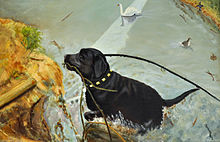 The Labrador Retriever, Öl auf Leinwand von Albert Demuyser (1997)