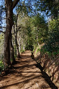 Levada da Serra do Faial Madeira