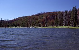 Lewis River Channel Outlet, 1989