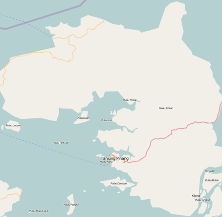 Location map Indonesia Bintan.png