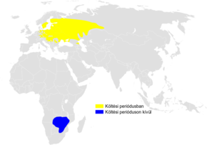 A kép leírása, az alábbiakban is kommentálva