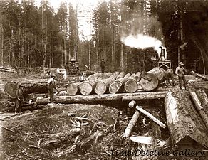 Logging, Columbia and Nehalem Valley Railroad, Oregon.JPG