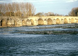 盧瓦爾河大橋