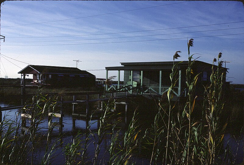 File:Louisiana Bayou 1984.jpg