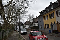 Virchowstraße in Ludwigshafen am Rhein