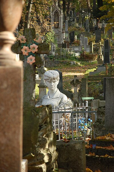 File:Lychakivskiy cemetery in autumn 2.jpg