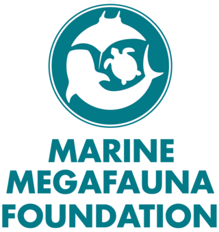 <span class="mw-page-title-main">Marine Megafauna Foundation</span> Marine research org on Mantas & Whale Sharks