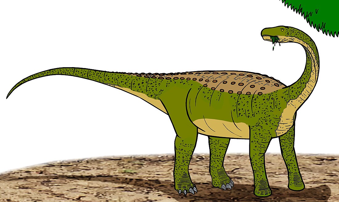 Magyarosaurus