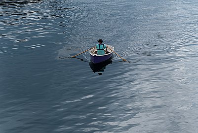 Man rowing in the Fort Point Channel, Boston, Massachusetts, US