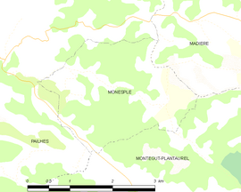 Mapa obce Monesple