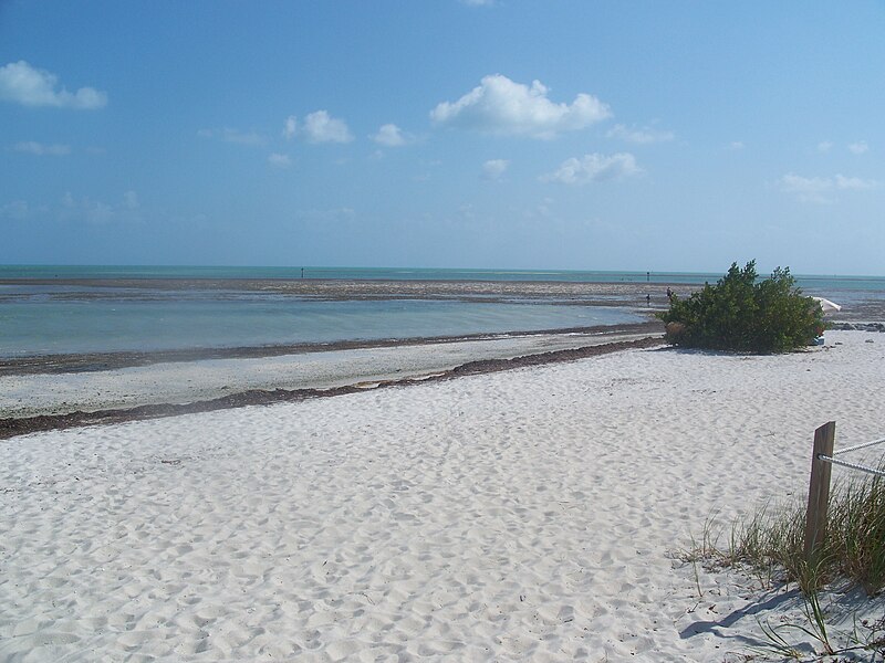 File:Marathon FL Curry Hammock SP beach04.jpg