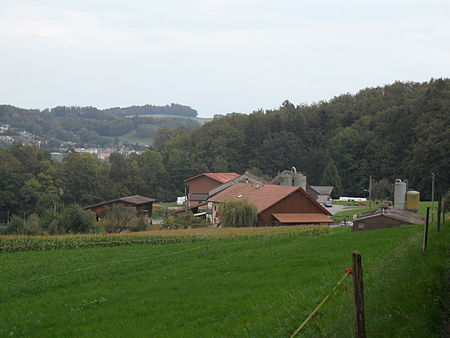 Marly (FR) Chésales