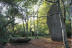 Image illustrative de l’article Menhirs de Lespurit Ellen