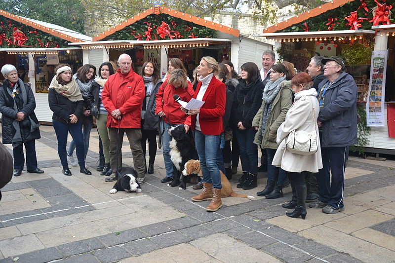 File:Midi en France Avignon - séquence d'Hélène Gateau.JPG